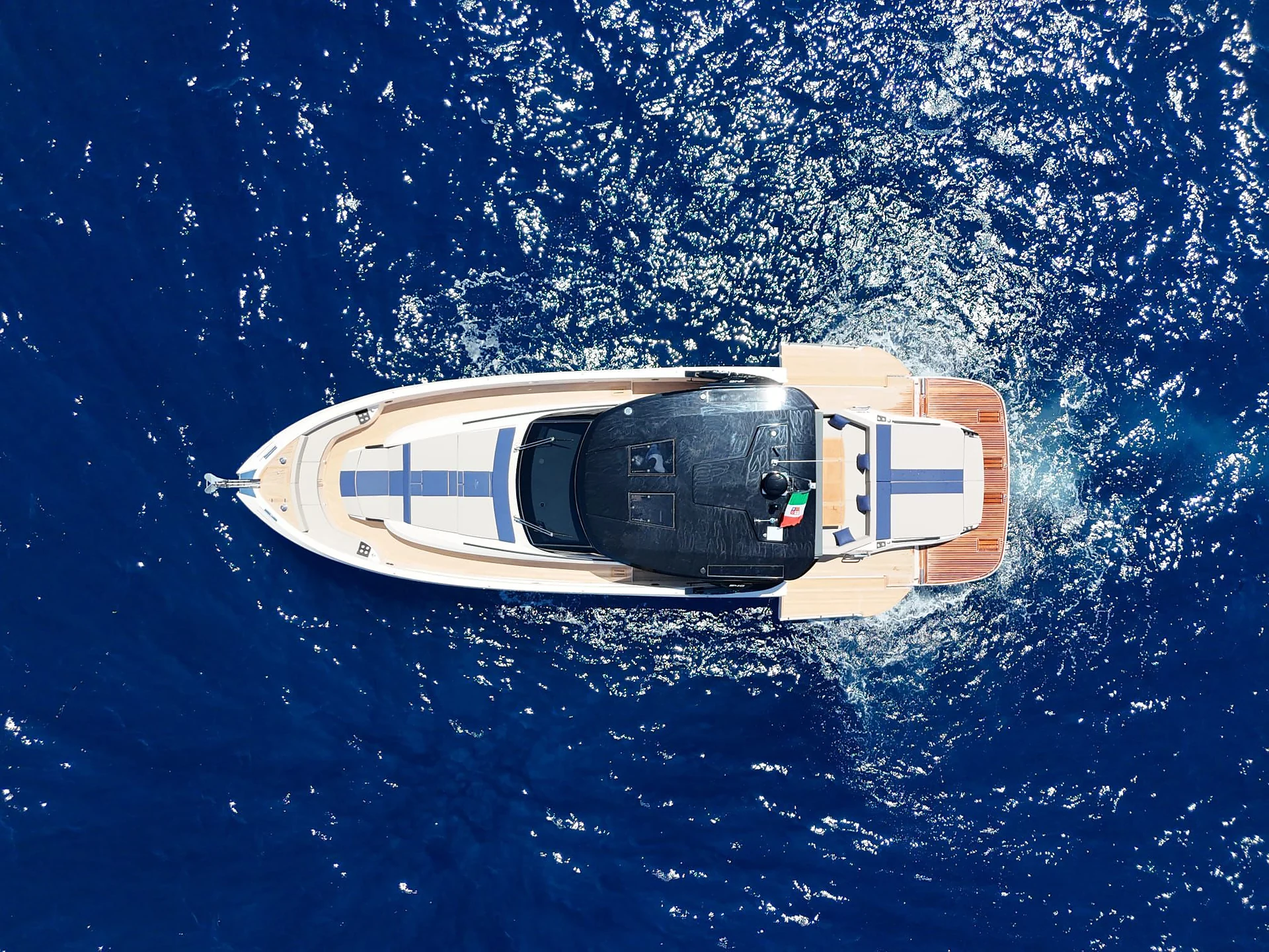 Caiman 54 detail
